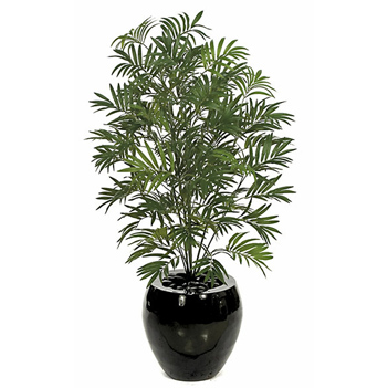 AGL_foliage_1