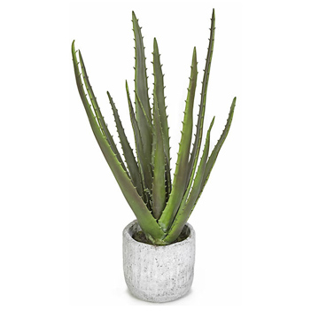 AGL_foliage_2