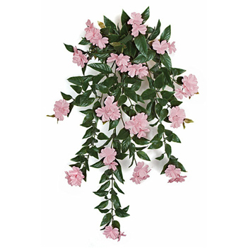 AGL_foliage_4