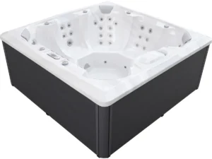 Dominion Spas 9150b View hot tub